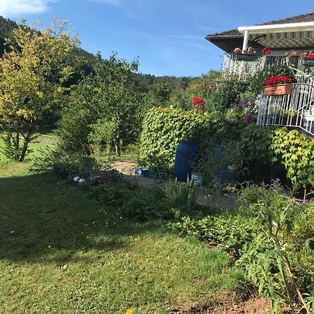 64747 Odenwald 2 Schlafzimmer Apartament Breuberg